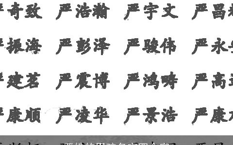 严姓的男孩名字四个字