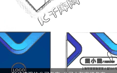 科技感强的公司名字 公司大气高级名字