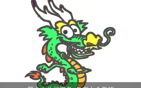 属龙人公司取名 名字大全集锦