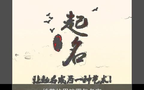 姓苏的男孩霸气名字