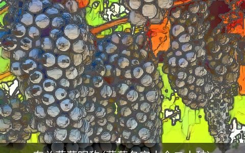 有关葡萄昵称(葡萄名字大全二十种)