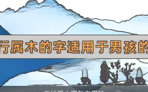 五行属木霸气字男孩