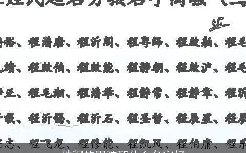 姓程的男孩取什么名字好