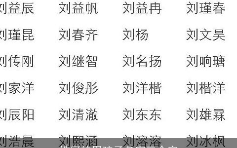 姓何的男孩子名字三个字