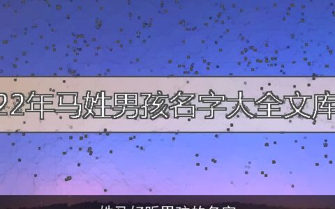 姓马好听男孩的名字