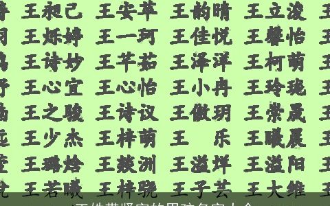 王姓带贤字的男孩名字大全