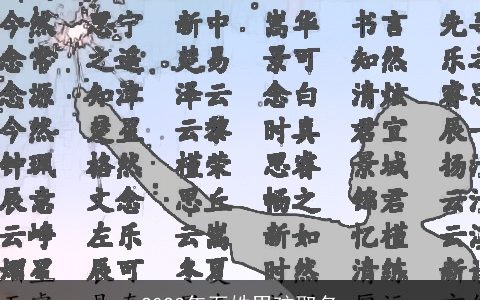 2023年石姓男孩取名