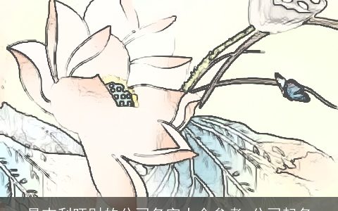 最吉利旺财的公司名字大全参考 公司起名