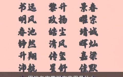 男孩名字带羽字意思是什么
