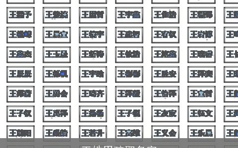 王姓男孩取名字