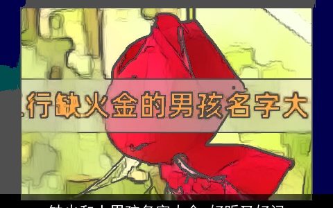 缺火和土男孩名字大全 好听又好记