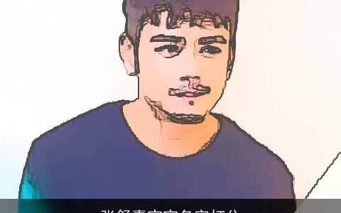 张舒嘉宝宝名字打分