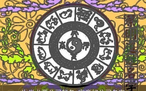生肖龙开公司起名 寓意好公司名字