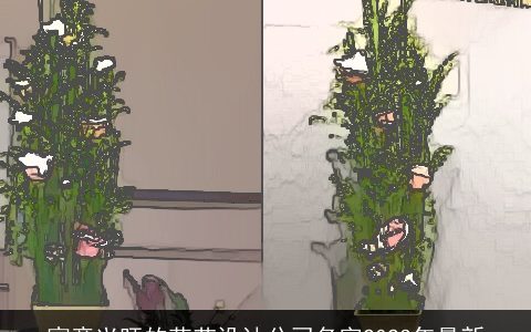 寓意兴旺的花艺设计公司名字2024年最新