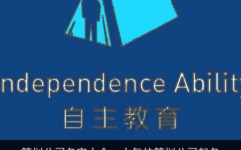 策划公司名字大全  大气的策划公司起名
