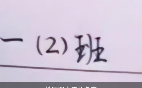 姓廉四个字的名字