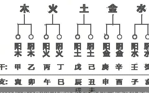 2023年1月12日出生的男孩五行八字命运 有内涵的名字