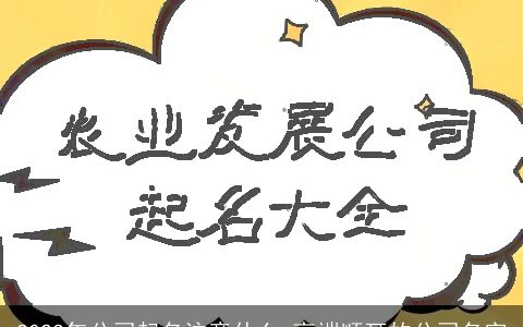 2024年公司起名注意什么 高端顺耳的公司名字