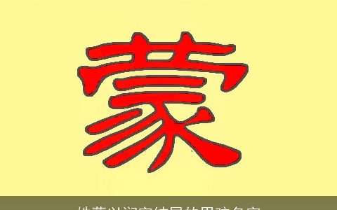 姓蒙以润字结尾的男孩名字