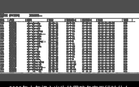 2024年大年初六出生的男孩名字五行缺什么