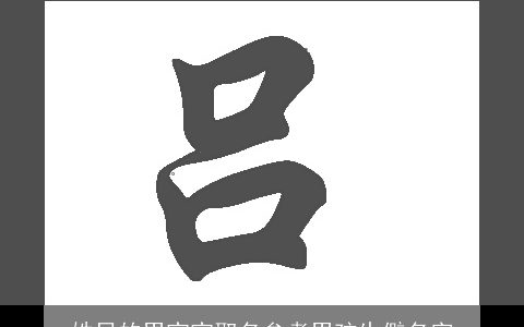 姓吕的男宝宝取名参考男孩生僻名字