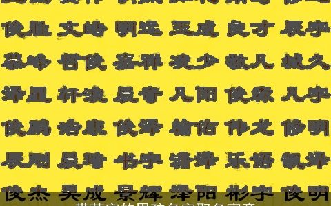 带苏字的男孩名字取名寓意