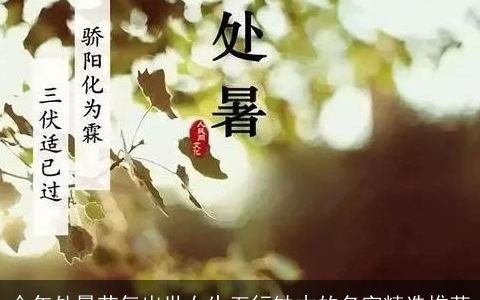 今年处暑节气出世女生五行缺木的名字精选推荐