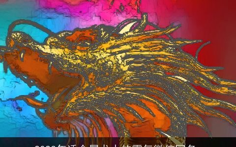 2023年适合属龙人的霸气微信网名_