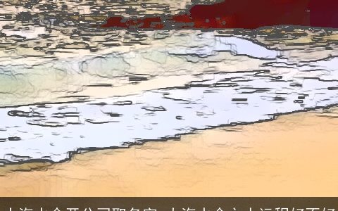 大海水命开公司取名字 大海水命之人运程好不好