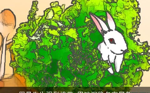 周易先生强烈推荐 男孩沉稳名字属龙