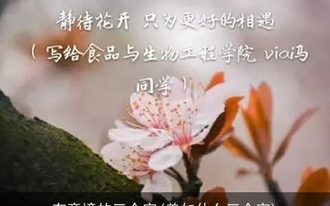 有意境的三个字(美如什么三个字)