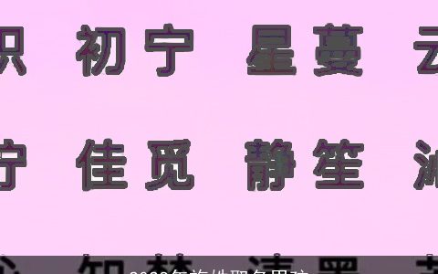 2023年施姓取名男孩