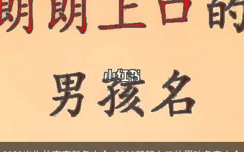 2023出生的宝宝起名大全 2023朗朗上口的男孩名字大全