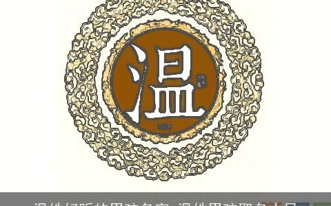 温姓好听的男孩名字 温姓男孩取名古风