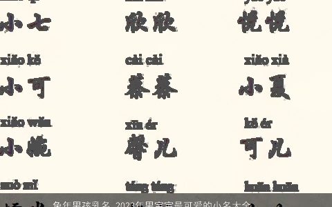 龙年男孩乳名 2024年男宝宝最可爱的小名大全推荐 吉利可爱的虎男孩乳名男宝宝小名名字大全最新