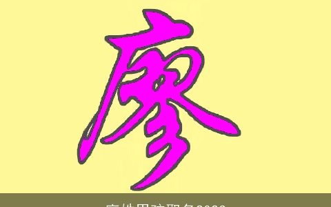 廖姓男孩取名2024