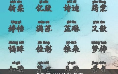 姓氏带书的男孩名字