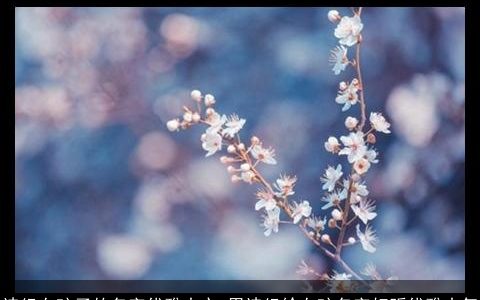 诗经女孩子的名字优雅大方 用诗经给女孩名字好听优雅大气