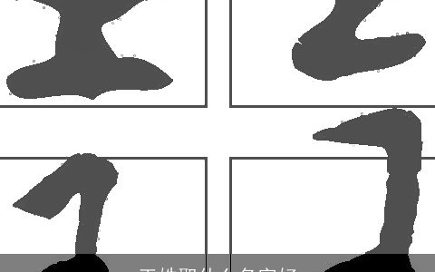 王姓取什么名字好