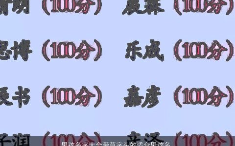 男孩名字大全带草字头的适合男孩名的字 好听稀少的带草字男孩名字最新