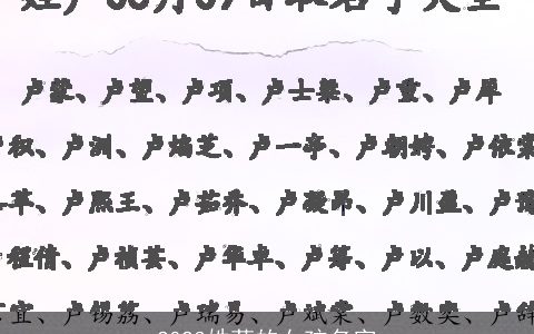 2023姓苟的女孩名字