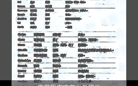 常用男宝宝英文名释义