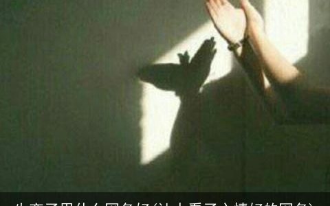 失恋了用什么网名好(让人看了心情好的网名)