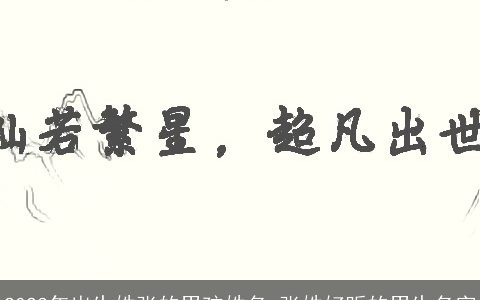 2023年出生姓张的男孩姓名 张姓好听的男生名字