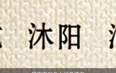 男宝宝起名中间是情字