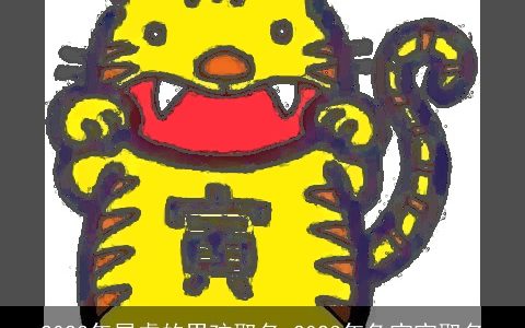 2023年属虎的男孩取名 2023年兔宝宝取名