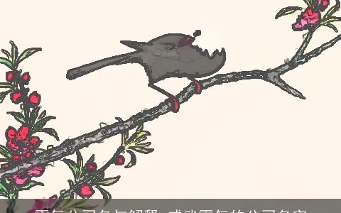 霸气公司名与解释 威武霸气的公司名字