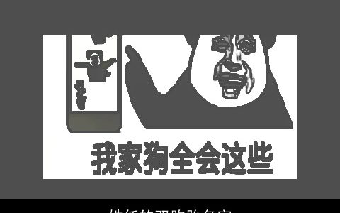 姓任的双胞胎名字