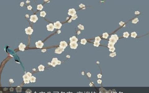 两个字公司名字 高端的企业取名