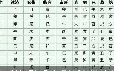 2024壬寅年农历十二月出生的男孩五行起名起名字推荐